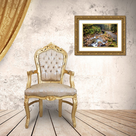 Waterfall And Walking Path Gold Ornate Wood Framed Art Print with Double Matting by Lee, Rachel