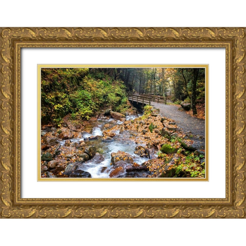 Waterfall And Walking Path Gold Ornate Wood Framed Art Print with Double Matting by Lee, Rachel
