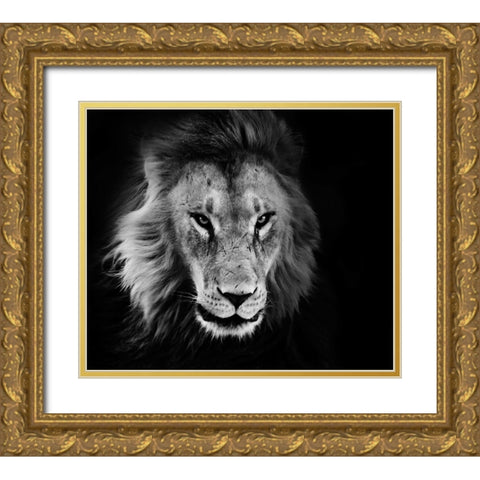 Wildlife 12 Gold Ornate Wood Framed Art Print with Double Matting by Lee, Rachel