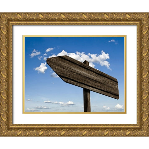 Wooden Arrow Sign Gold Ornate Wood Framed Art Print with Double Matting by Lee, Rachel