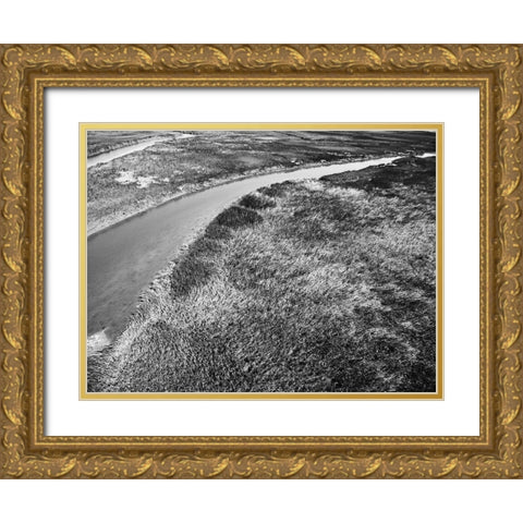 Monochrome Marsh Gold Ornate Wood Framed Art Print with Double Matting by Malone, Will