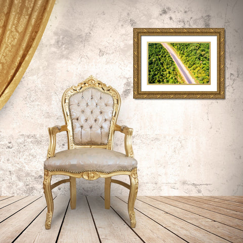 Road Gold Ornate Wood Framed Art Print with Double Matting by Malone, Will