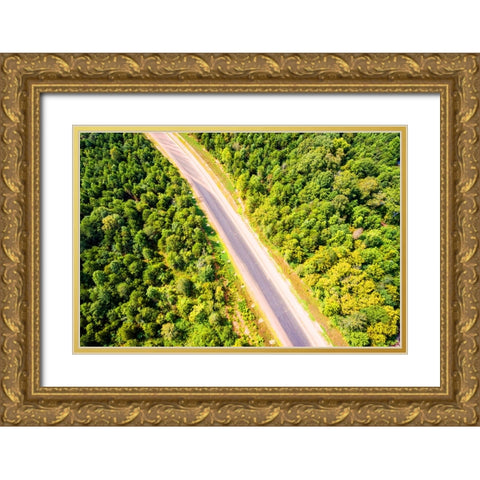 Road Gold Ornate Wood Framed Art Print with Double Matting by Malone, Will