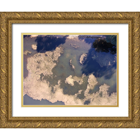 Tennessee River 2 Gold Ornate Wood Framed Art Print with Double Matting by Malone, Will