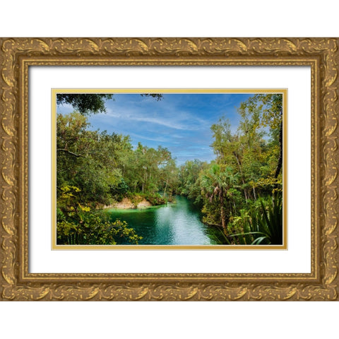Blue Lagoon Gold Ornate Wood Framed Art Print with Double Matting by Malone, Will
