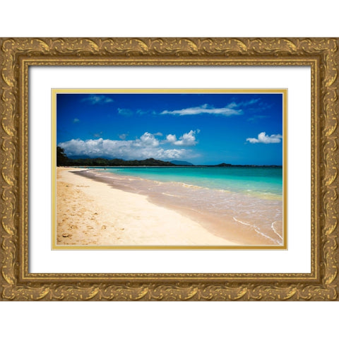 Kailua Gold Ornate Wood Framed Art Print with Double Matting by Malone, Will