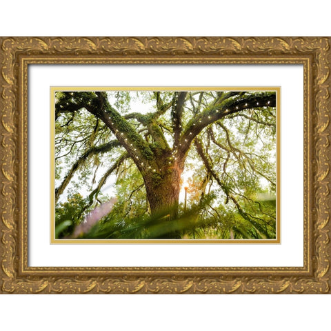 Live Oak Dance Gold Ornate Wood Framed Art Print with Double Matting by Malone, Will