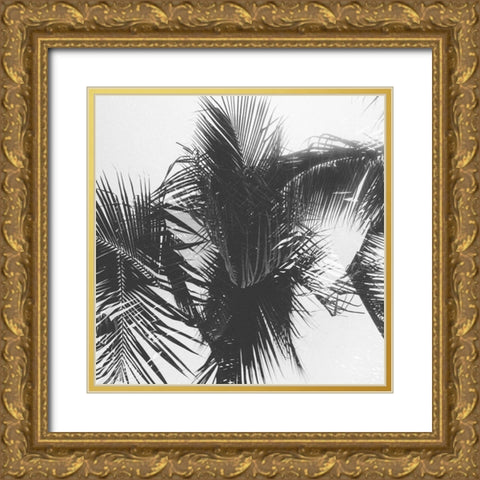 Palm 1 Gold Ornate Wood Framed Art Print with Double Matting by Malone, Will