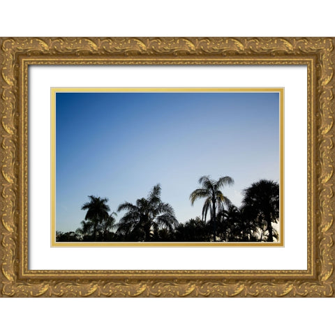 Palm Twilight Gold Ornate Wood Framed Art Print with Double Matting by Malone, Will
