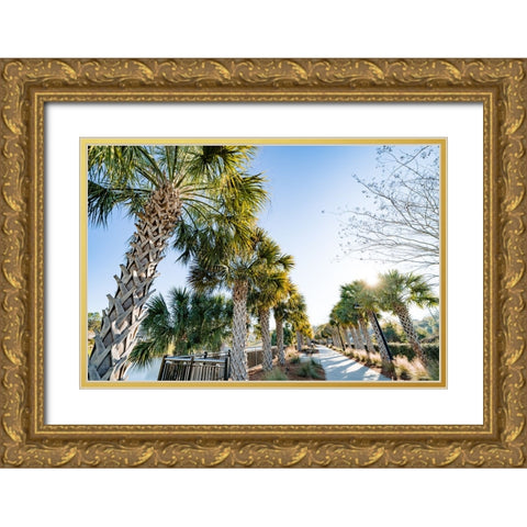 Palm Walk Gold Ornate Wood Framed Art Print with Double Matting by Malone, Will