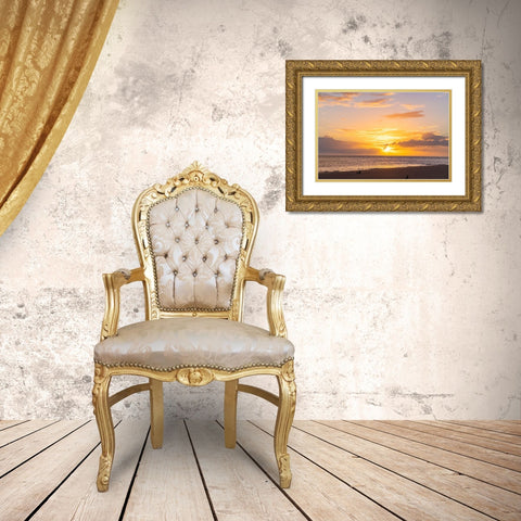 Pink Lemonade  Gold Ornate Wood Framed Art Print with Double Matting by Malone, Will