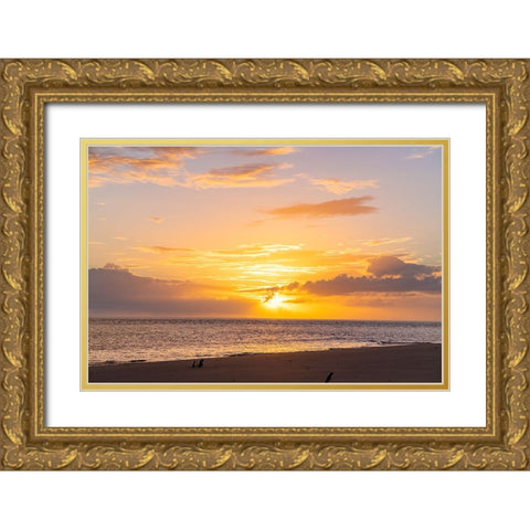 Pink Lemonade  Gold Ornate Wood Framed Art Print with Double Matting by Malone, Will