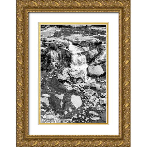Falls Park 2 BW Gold Ornate Wood Framed Art Print with Double Matting by Malone, Will