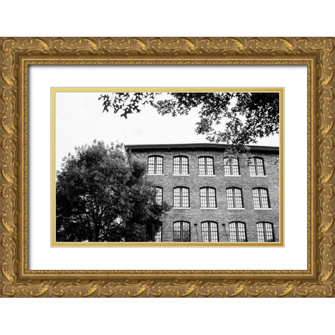 Sunny Windows BW  Gold Ornate Wood Framed Art Print with Double Matting by Malone, Will