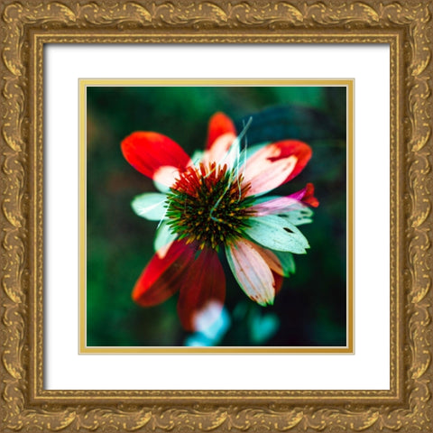 A New Flower Gold Ornate Wood Framed Art Print with Double Matting by Malone, Will