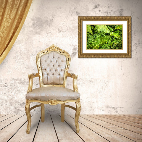 Kale Up Close Gold Ornate Wood Framed Art Print with Double Matting by Malone, Will