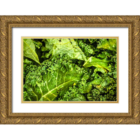 Kale Up Close Gold Ornate Wood Framed Art Print with Double Matting by Malone, Will