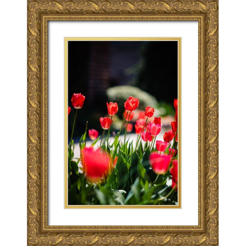 Tulips 2 Gold Ornate Wood Framed Art Print with Double Matting by Malone, Will