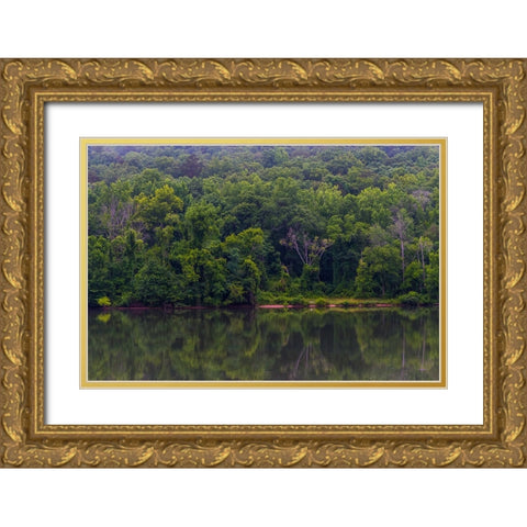 Across The River Gold Ornate Wood Framed Art Print with Double Matting by Malone, Will