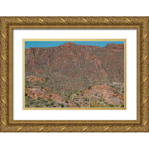 Cactus Mountain 3 Gold Ornate Wood Framed Art Print with Double Matting by Malone, Will