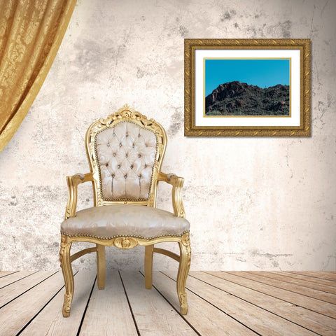 Cactus Mountain 5 Gold Ornate Wood Framed Art Print with Double Matting by Malone, Will