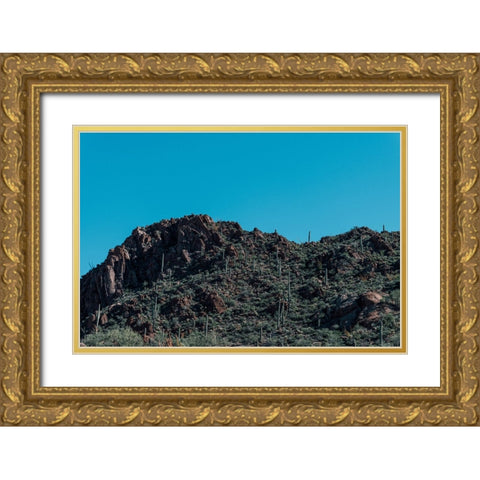 Cactus Mountain 5 Gold Ornate Wood Framed Art Print with Double Matting by Malone, Will
