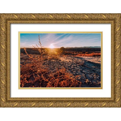 Desert Sunset 3 Gold Ornate Wood Framed Art Print with Double Matting by Malone, Will