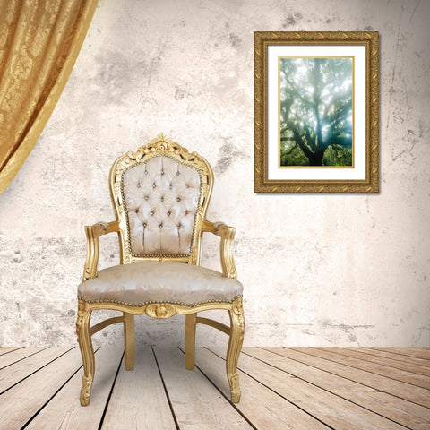 Dream Tree Gold Ornate Wood Framed Art Print with Double Matting by Malone, Will