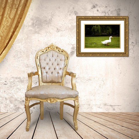 Duck of Lake Ella 5 Gold Ornate Wood Framed Art Print with Double Matting by Malone, Will