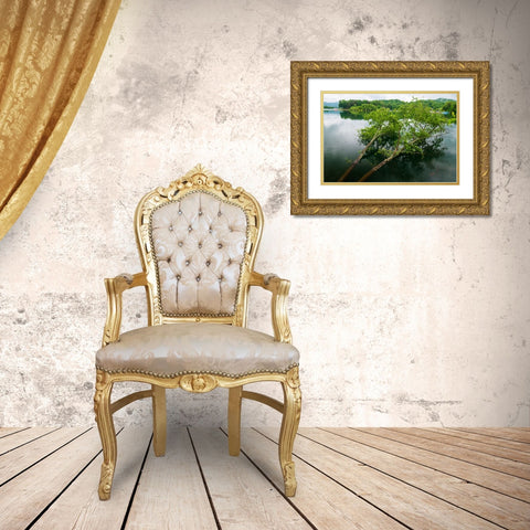 Fallen Gold Ornate Wood Framed Art Print with Double Matting by Malone, Will