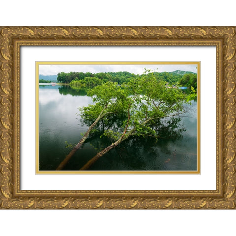 Fallen Gold Ornate Wood Framed Art Print with Double Matting by Malone, Will