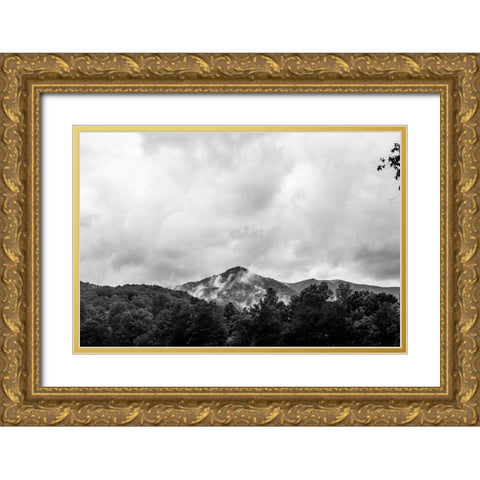 Mountain Top Gold Ornate Wood Framed Art Print with Double Matting by Malone, Will