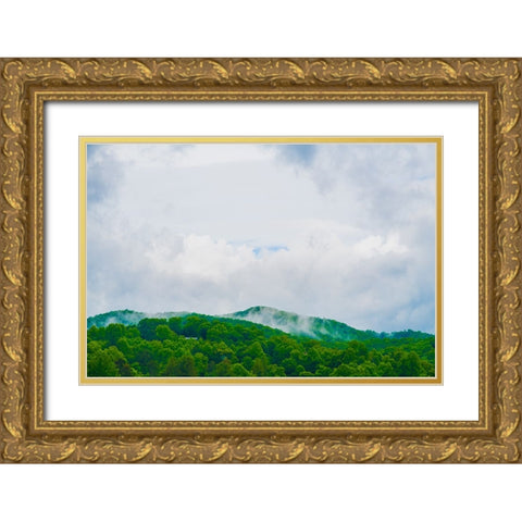 Mountain Top Green Gold Ornate Wood Framed Art Print with Double Matting by Malone, Will