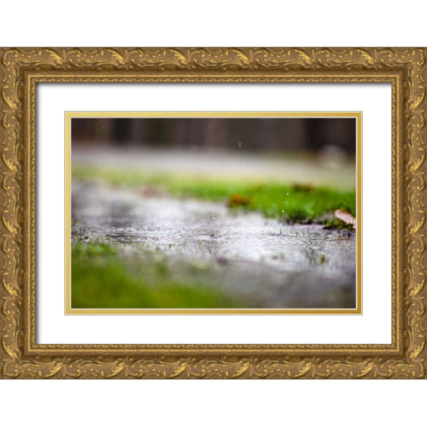 Raindrop Gold Ornate Wood Framed Art Print with Double Matting by Malone, Will