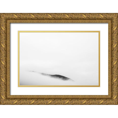 The Reveal Gold Ornate Wood Framed Art Print with Double Matting by Malone, Will