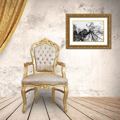 Dark House Gold Ornate Wood Framed Art Print with Double Matting by Malone, Will