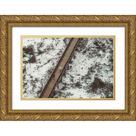 White Sands 2 Gold Ornate Wood Framed Art Print with Double Matting by Malone, Will