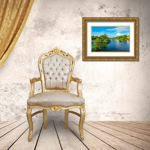 Blooming on the Coosa 3 Gold Ornate Wood Framed Art Print with Double Matting by Malone, Will