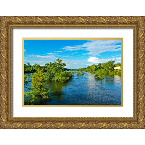 Blooming on the Coosa 3 Gold Ornate Wood Framed Art Print with Double Matting by Malone, Will