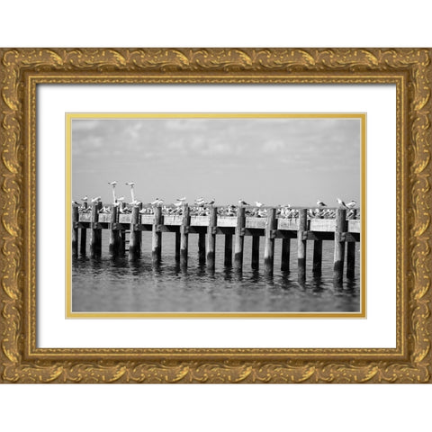 Seagull Hangout Gold Ornate Wood Framed Art Print with Double Matting by Malone, Will