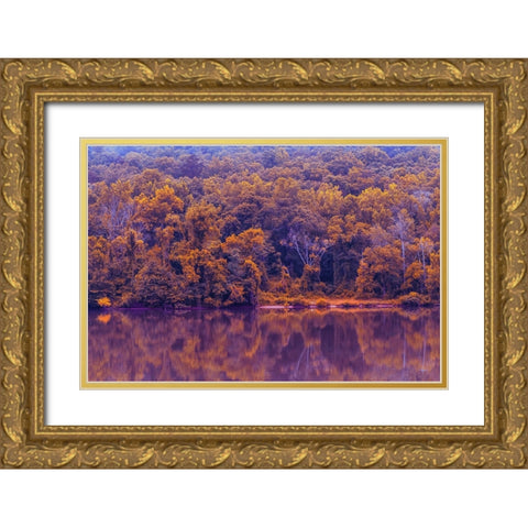 Across The River Infrared Gold Ornate Wood Framed Art Print with Double Matting by Malone, Will