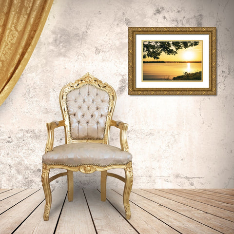 Alabama Line Gold Ornate Wood Framed Art Print with Double Matting by Malone, Will