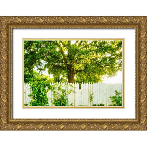 White Pickett Fence Gold Ornate Wood Framed Art Print with Double Matting by Malone, Will