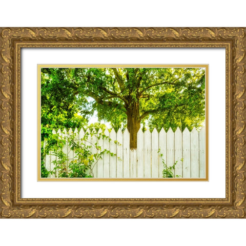 White Pickett Fence 2 Gold Ornate Wood Framed Art Print with Double Matting by Malone, Will