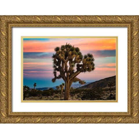 Cotton Candy Tree Gold Ornate Wood Framed Art Print with Double Matting by Malone, Will