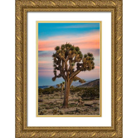 Cotton Candy Tree 2 Gold Ornate Wood Framed Art Print with Double Matting by Malone, Will