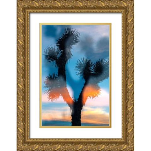 Desert Sky 3 Gold Ornate Wood Framed Art Print with Double Matting by Malone, Will