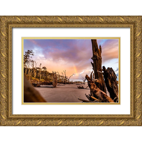 Amelia 1 Gold Ornate Wood Framed Art Print with Double Matting by Malone, Will