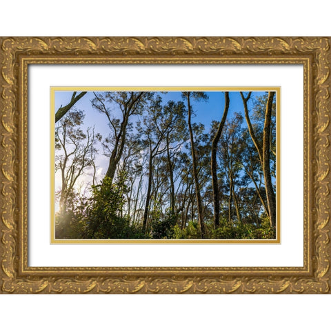 Awake Gold Ornate Wood Framed Art Print with Double Matting by Malone, Will