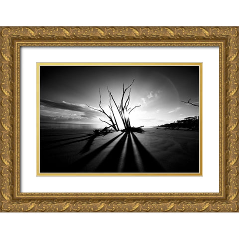 Shadow BW Gold Ornate Wood Framed Art Print with Double Matting by Malone, Will